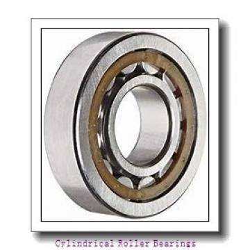 Toyana NUP18/500 cylindrical roller bearings