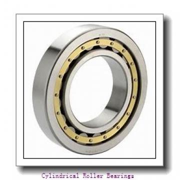 190 mm x 290 mm x 46 mm  NACHI NUP 1038 cylindrical roller bearings